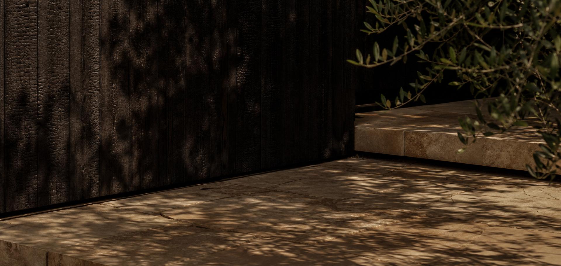Charred timber cladding meeting sandstone paving and olive foliage